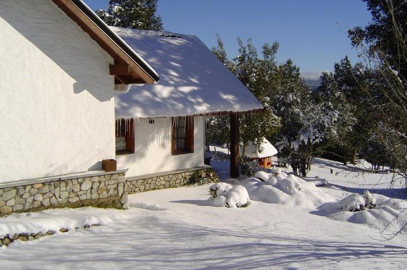 Cabanas & Aparts Lancuyen, Villa De Montana Вилья-ла-Ангостура Номер фото